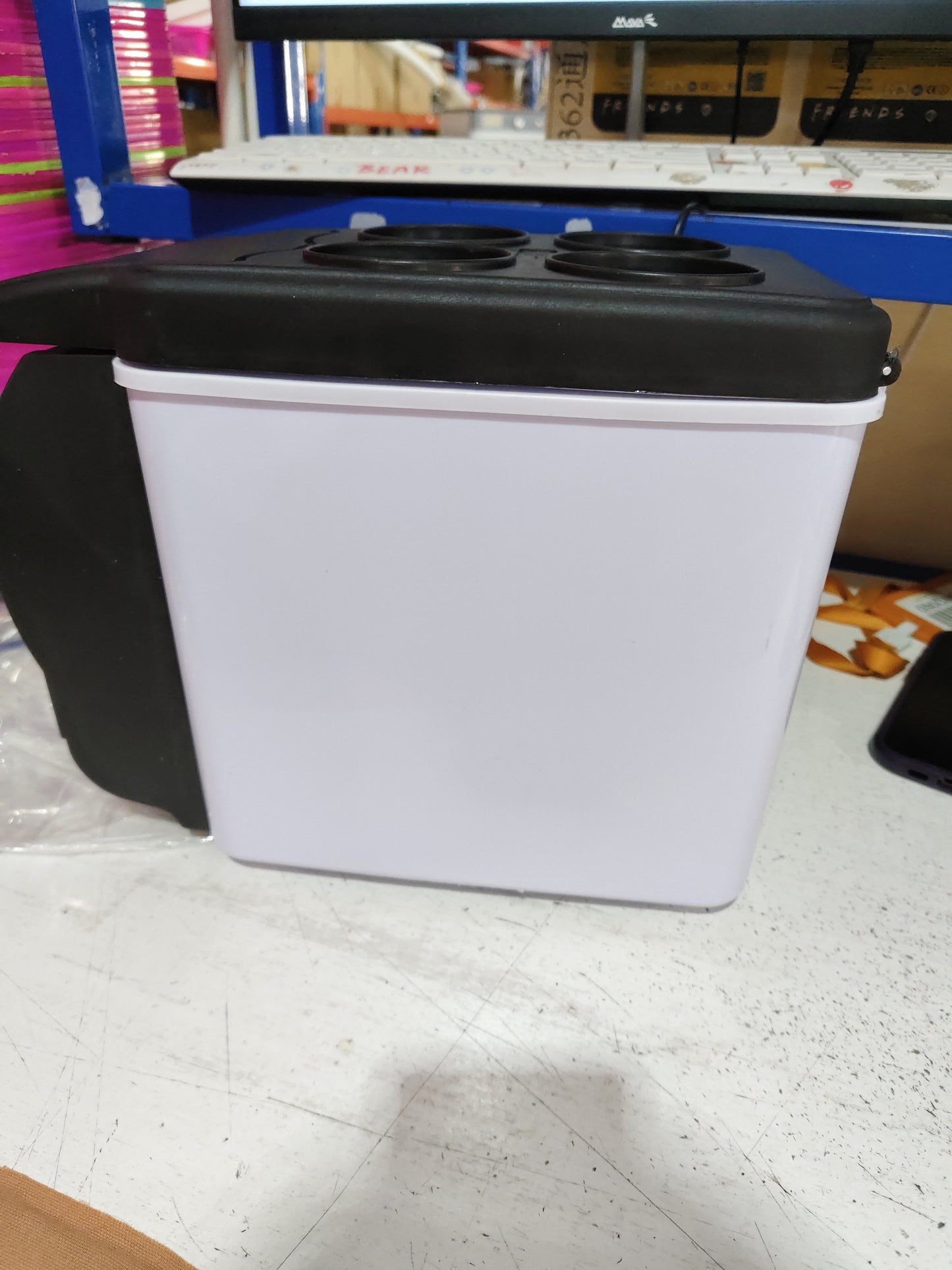 Portable Insulated Refrigerator