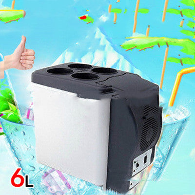 Portable Insulated Refrigerator