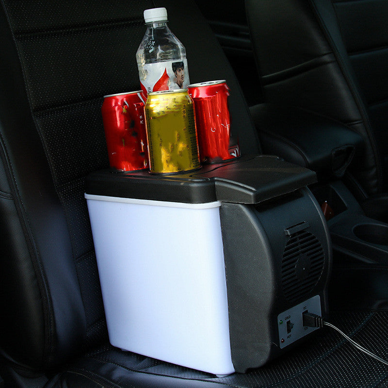 Portable Insulated Refrigerator