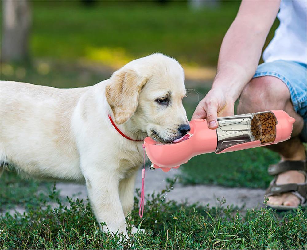 3 In 1 Dog Water Bottle