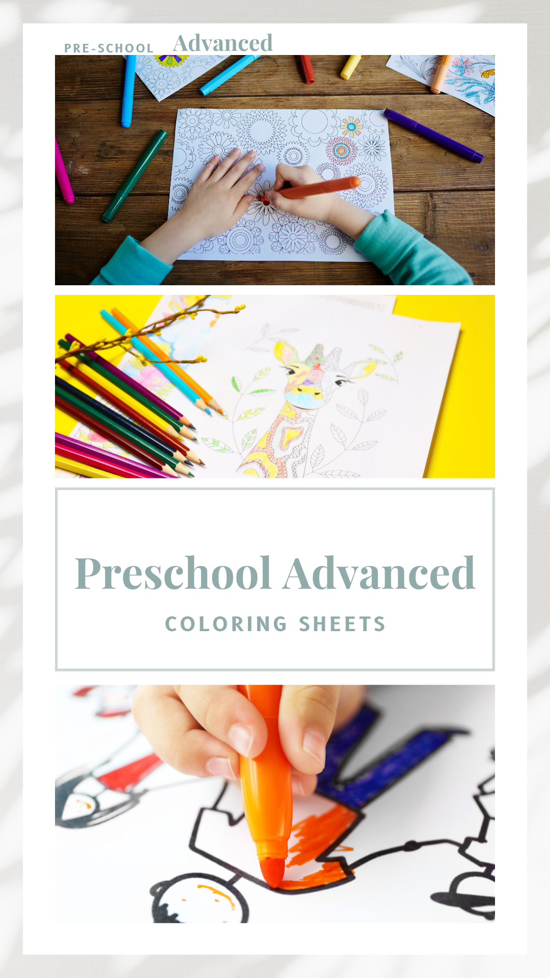 Coloring Sheets (Advanced Bundle)