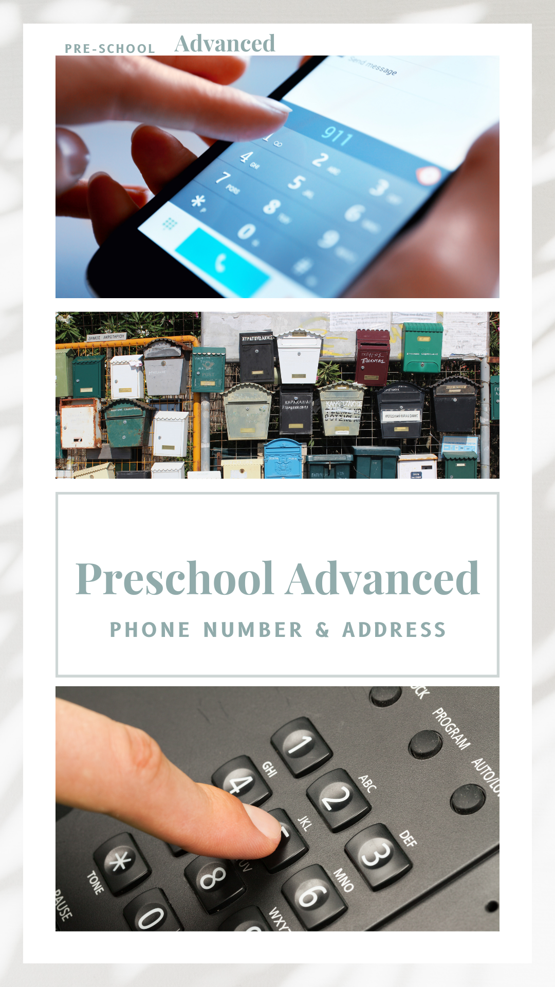 Phone Number and Address Activity (Advanced Bundle)