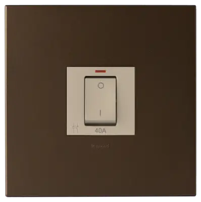 Arteor 40A Isolating Switch With LED