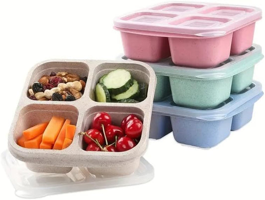 Divided Bento Lunch Snack Box