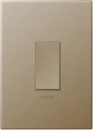 Arteor 1 Lever 2-Way Switch 2x4