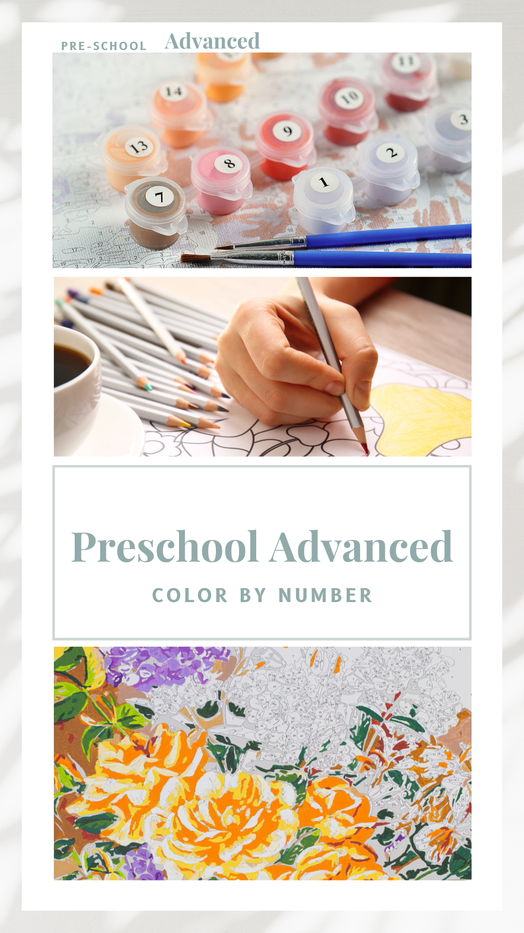 Color by Number (Advanced Bundle)