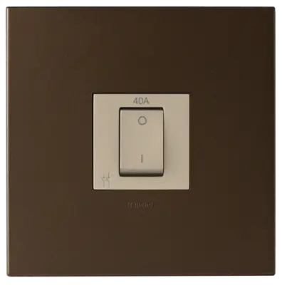 Arteor 40A Isolating Switch