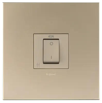 Arteor 40A Isolating Switch