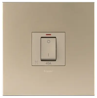 Arteor 40A Isolating Switch With LED