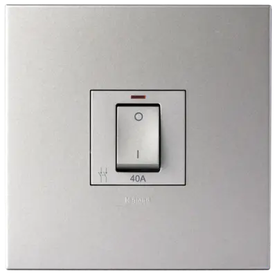 Arteor 40A Isolating Switch With LED