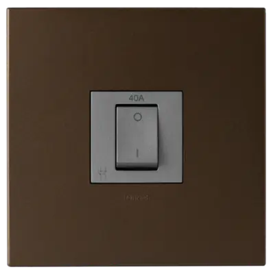 Arteor 40A Isolating Switch