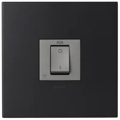 Arteor 40A Isolating Switch