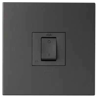Arteor 40A Isolating Switch