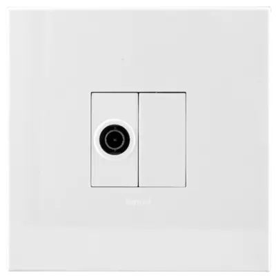 Arteor Television Socket 4X4